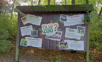 Dzień Chłopaka w ZOO